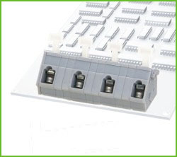 AO243-10.0